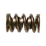 PAC Circle Track 1200 Series Valve Spring 1.550 Dual with a - Image 4