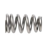 PAC RPM Series LS7 Drop in Beehive & Hemi SRT Exhaust Spring - Image 4