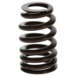 PAC RPM Series GM 604 Crate Engine Spring Blue Beehive - Image 4