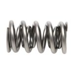 PAC Circle Track 1500 Series Valve Spring Small Diameter Dua - Image 4