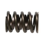 PAC AMC and BBC Street Single Std. Hot Rod Valve Spring - Image 4