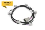 Haltech i6 Sumitomo (Denso) Primary Injector Harness