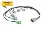 Haltech i6 GT150 (USCAR EV6) Primary Injector Harness - Image 2