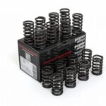 Piper Single Valve Springs Ford 2.0L 16v RS2000 N7A