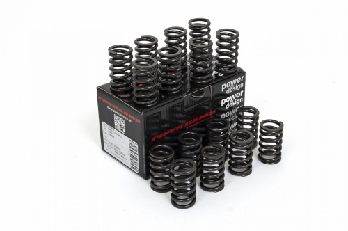 F98117A1-EEA9-823A-F898-9C9517B67B88 Piper Single Valve Springs Ford 2.0L 16v RS2000 N7A - Image 1